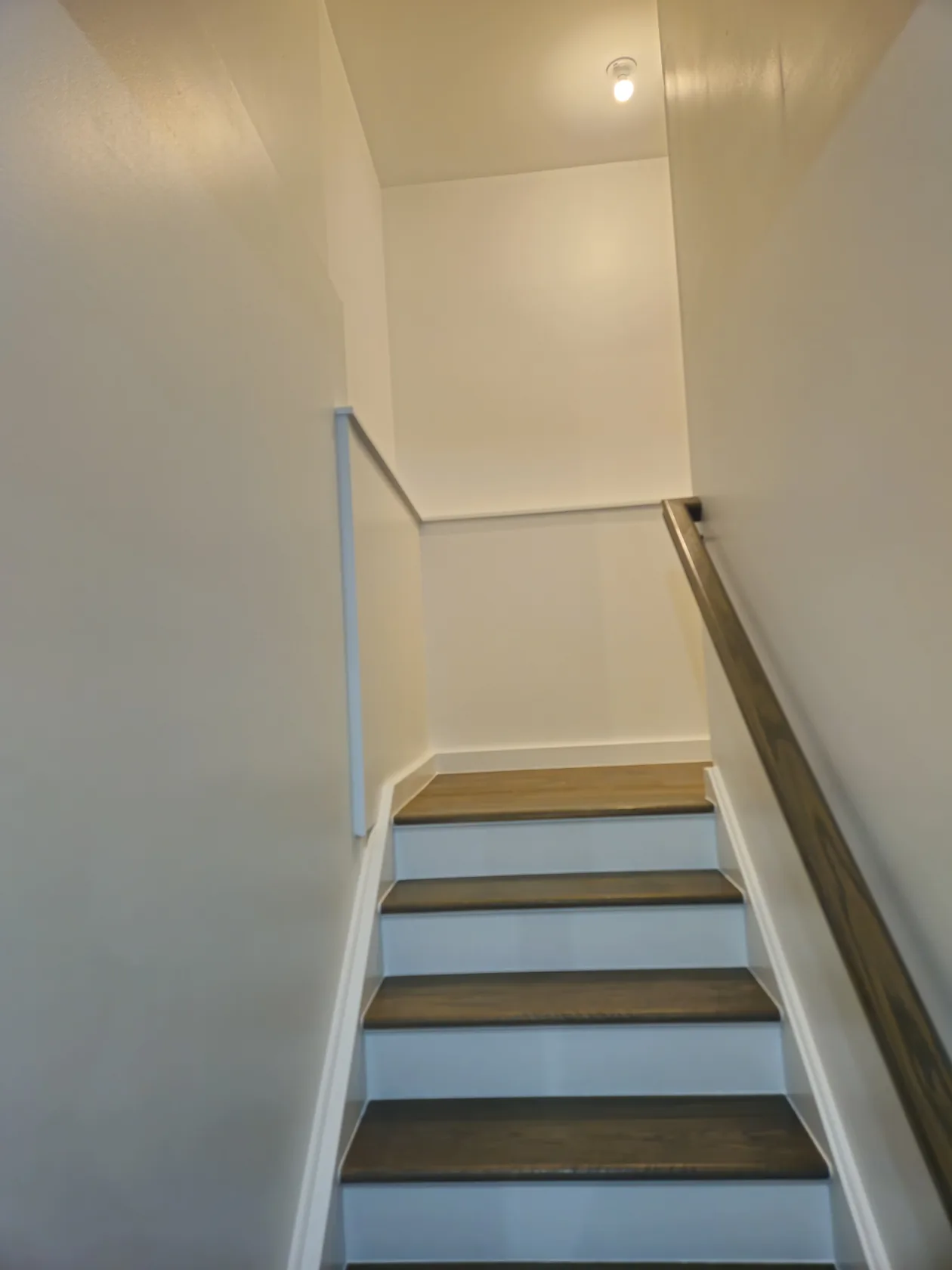 Interior staircase with dark wood treads and white risers.